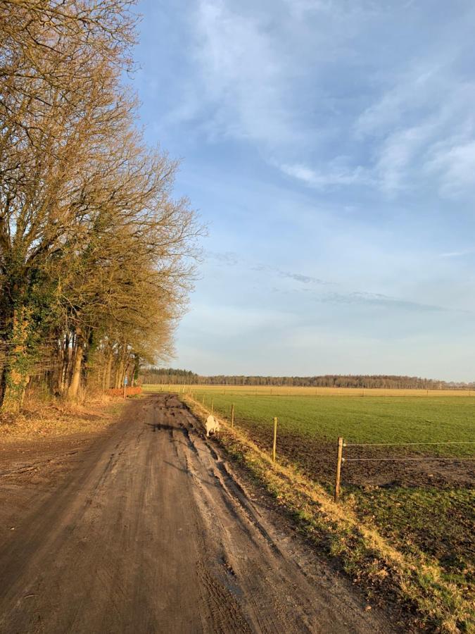 'T Holten Huus - Puur Genieten In Het Bos. Norg ภายนอก รูปภาพ