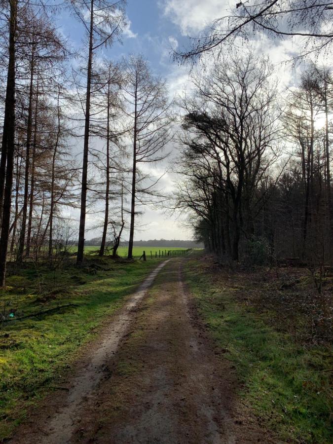 'T Holten Huus - Puur Genieten In Het Bos. Norg ภายนอก รูปภาพ