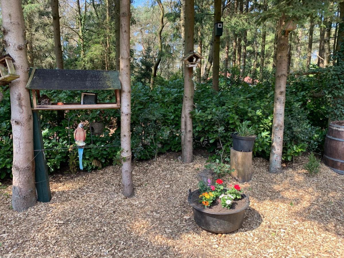 'T Holten Huus - Puur Genieten In Het Bos. Norg ภายนอก รูปภาพ